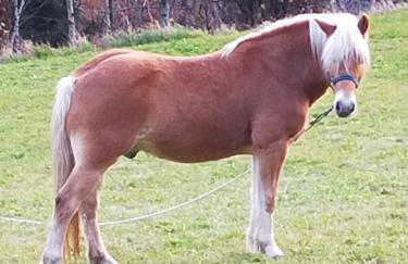 casa vacanza da ghislin - Foto 48