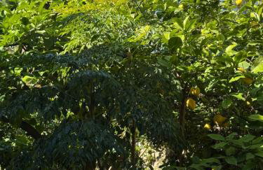 Sideroporta castle Náfpaktos - Foto 8