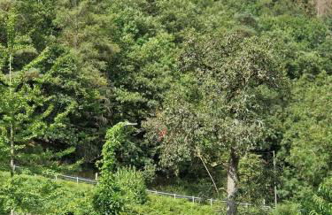 DeNi's Ferienwohnungen - Foto 41