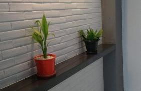 Studio Teatro da Paz - Foto 61