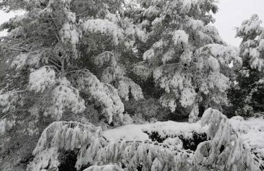 Panorama Traditional Village House - Foto 37