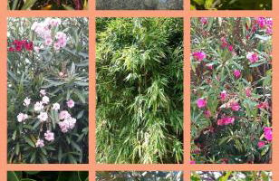 Agriturismo Natta Di Monte Tabor - Foto 31