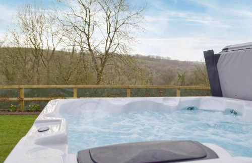 Cwm Hyfryd - Foto 24