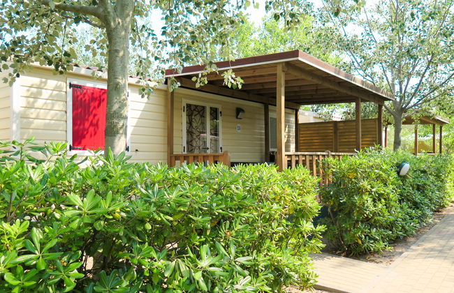 Rosapineta Sud - Foto 12