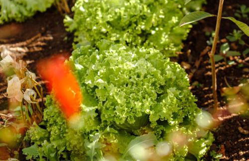 GuestReady - Leme Beach Breathtaking Views - Foto 59