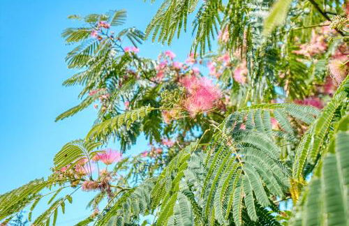 L'Hirondelle - Perigord Noir - Foto 22