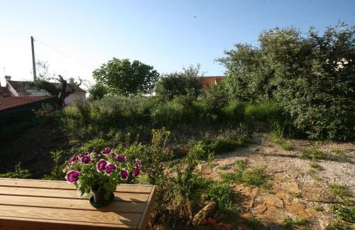 Horto do Amor - Foto 3