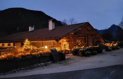 Nickis Bergcamp - Foto 8