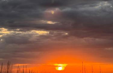 EliMar-Torrevieja Beach - Foto 20