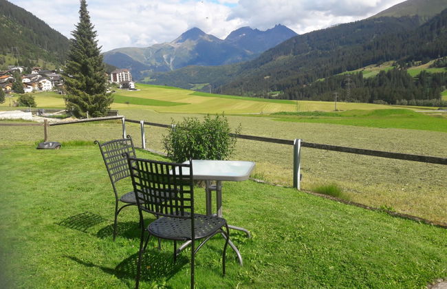 XXXTgèsa Hirundella - Foto 5