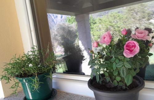 CabrilHome - AL Gerês - Foto 16