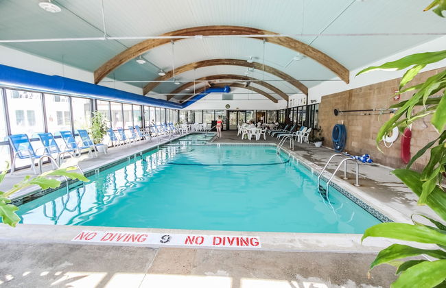 Holly Tree Resort - Foto 16