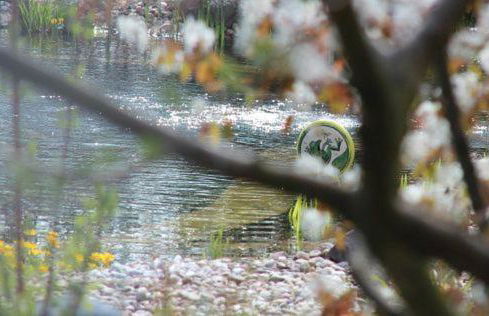 Ferienwohnung Dr. Vera Schmidt - Foto 22