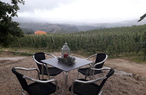 Casa do Feitor - Douro - Quinta da Cabrida - Foto 49