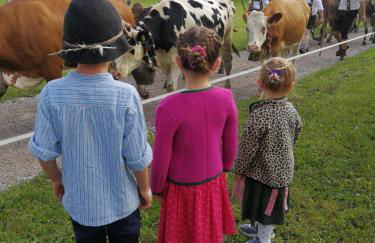 Panek, Haus - Foto 44