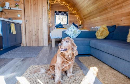 1 Bed in Bratton Fleming 90190 - Foto 13