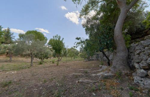 Riserva Ancelle - Foto 36