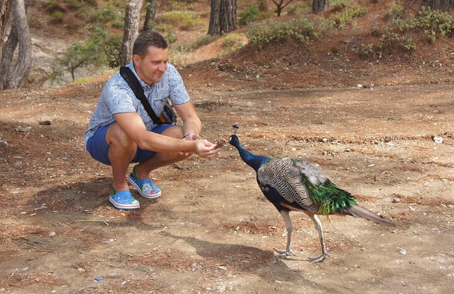 Rhodes Self Drive 4x4 Expedición al desierto y almuerzo tradicional - Foto 8