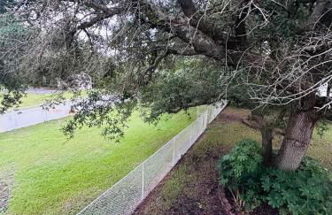 Pets welcome in a spacious 1 bedroom with a fenced in backyard and treadmill - Foto 23