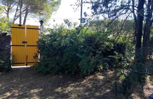 Les Lucioles - Foto 16