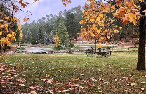 Casa Rural Campanilla - Foto 53