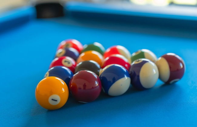 Ferienhaus mit Pool und Sauna am Duemmer See - Foto 23