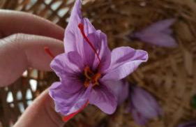 Agriturismo La Pigna - Foto 12