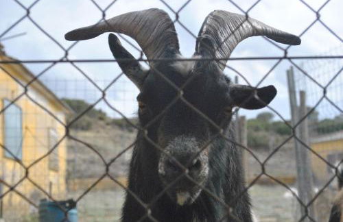 CASAS RURALES LA LAGUNA, ALPERA - Foto 26