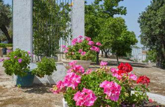 Finca La Fuensanta - Foto 67