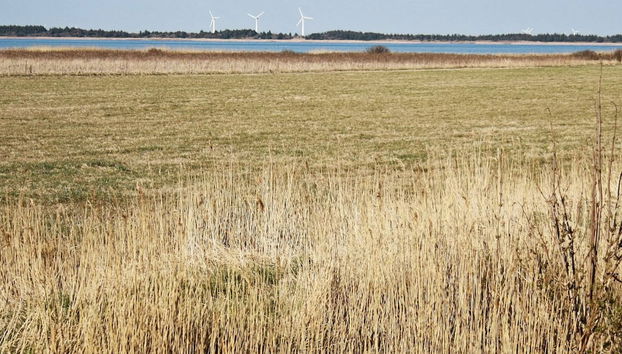 8 Person Holiday Home in Ulfborg - Photo 4