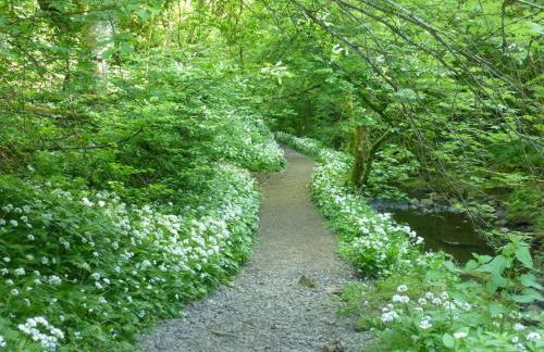 Middlehope Cottage - Photo 49