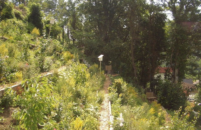 Roomantic Apartments - Photo 50