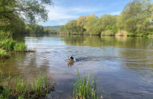 Ferienwohnung am Saarweg - Photo 17