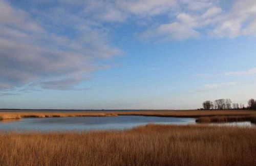 Holiday home with 2 bedrooms - Foto 18