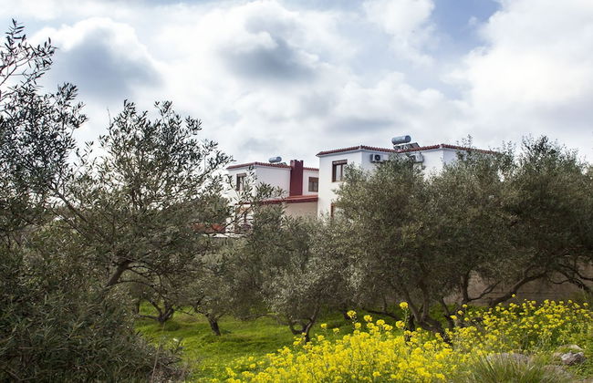 Foivos and Athina Villas - Foto 38