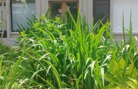 LA TERRASSE DE NOTRE DAME - Foto 43