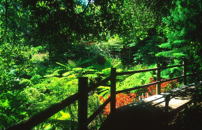 The Falls Montville - Photo 30