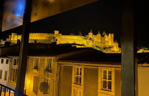 Au pied de la Cité Médiévale, piscine, vue extraordinaire, gîte La Trivala à Carcassonne - Photo 37