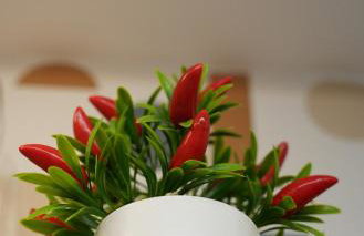 Studio no Coração do Rio, Metrô e VLT na Porta - Foto 10