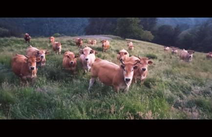 Casa el rey 12 - Apartamentos Buenos Aires y Figueras AR-1419-AS - Foto 36