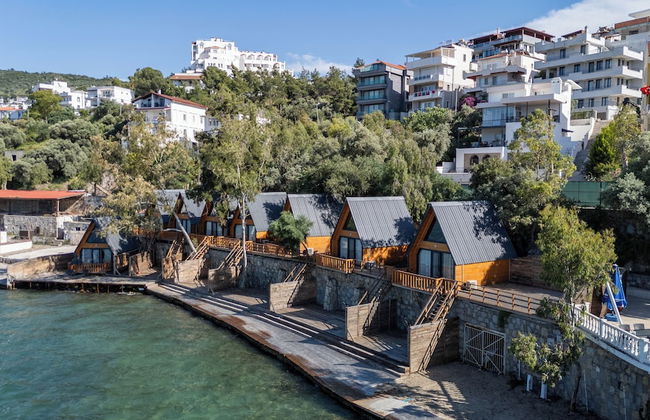 Roseira Bungalov - Photo 1