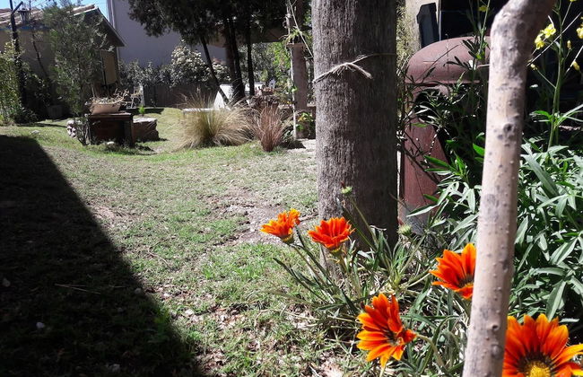 Dark Green House - Chacras de Coria - Photo 75