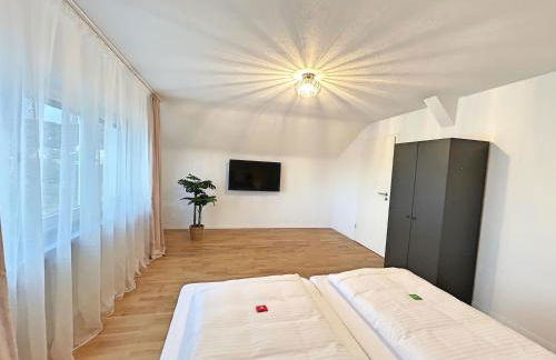 Basilisk Homes - in Grenzach-Wyhlen bei Basel - 4 x Moderne Fewos je 1bis2, 1bis4 oder 1bis6 Pers mit Küche und Balkon oder Terrasse - Parkplätze vorhanden - Foto 28