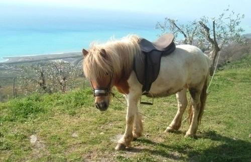 Agriturismo La Palombara - Foto 30