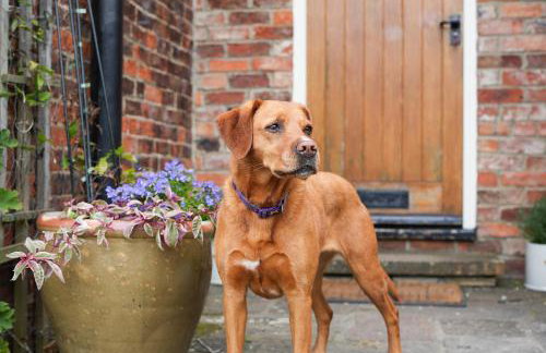 Manor Cottage - Foto 3