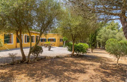 Finca Son Blat - Photo 8