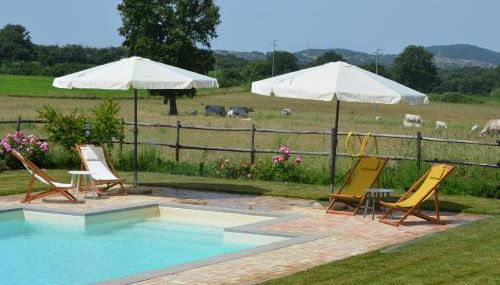 AGRITURISMO LA GHIGA - Foto 5