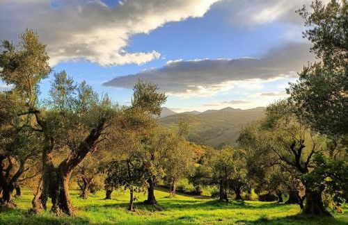 Rustic hillside stone-Rustico in pietra - Foto 7