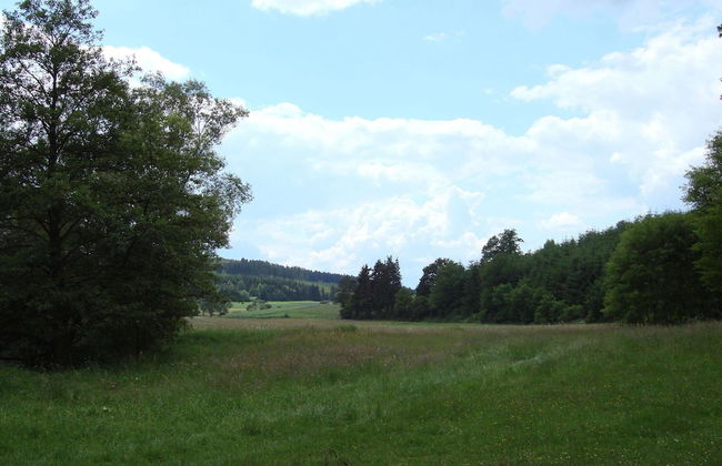 Hillside Cottage Near Winterberg - Foto 27