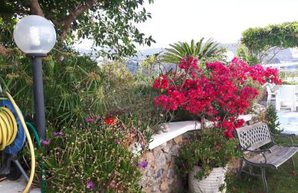 Casa Acqua Marina Ponza - Foto 11